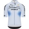 Q36.5 - Gregarius Clima Pro Cycling Team LE Jersey - Men's - Light Blue