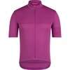 Rapha - Brevet Element Jersey - Men's - Amethyst/Sky Captain
