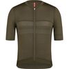 Dark Olive/Balsam Green