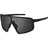 Obsidian Black Polarized/Matte Black