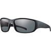 Black/Gray Polarized
