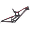 Santa Cruz Bicycles - V10 Carbon DHX Mountain Bike Frame
