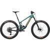 Matte Evergreen