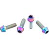 Wolf Tooth Components Titanium Water Bottle Cage Bolts - Low Profile, 4-Pack (Ultra-Light)