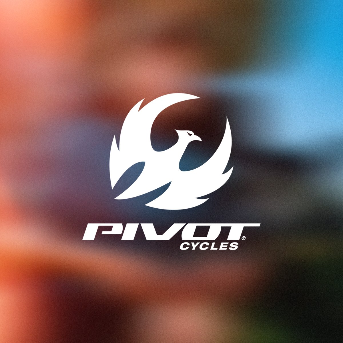 Pivot Up to 40% off