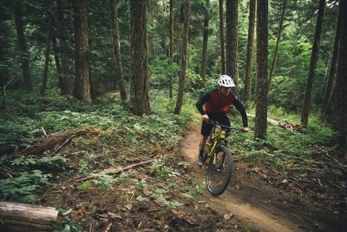 SCB_MY20_TALLBOY_BACKCOUNTRY-003-e1565980504323