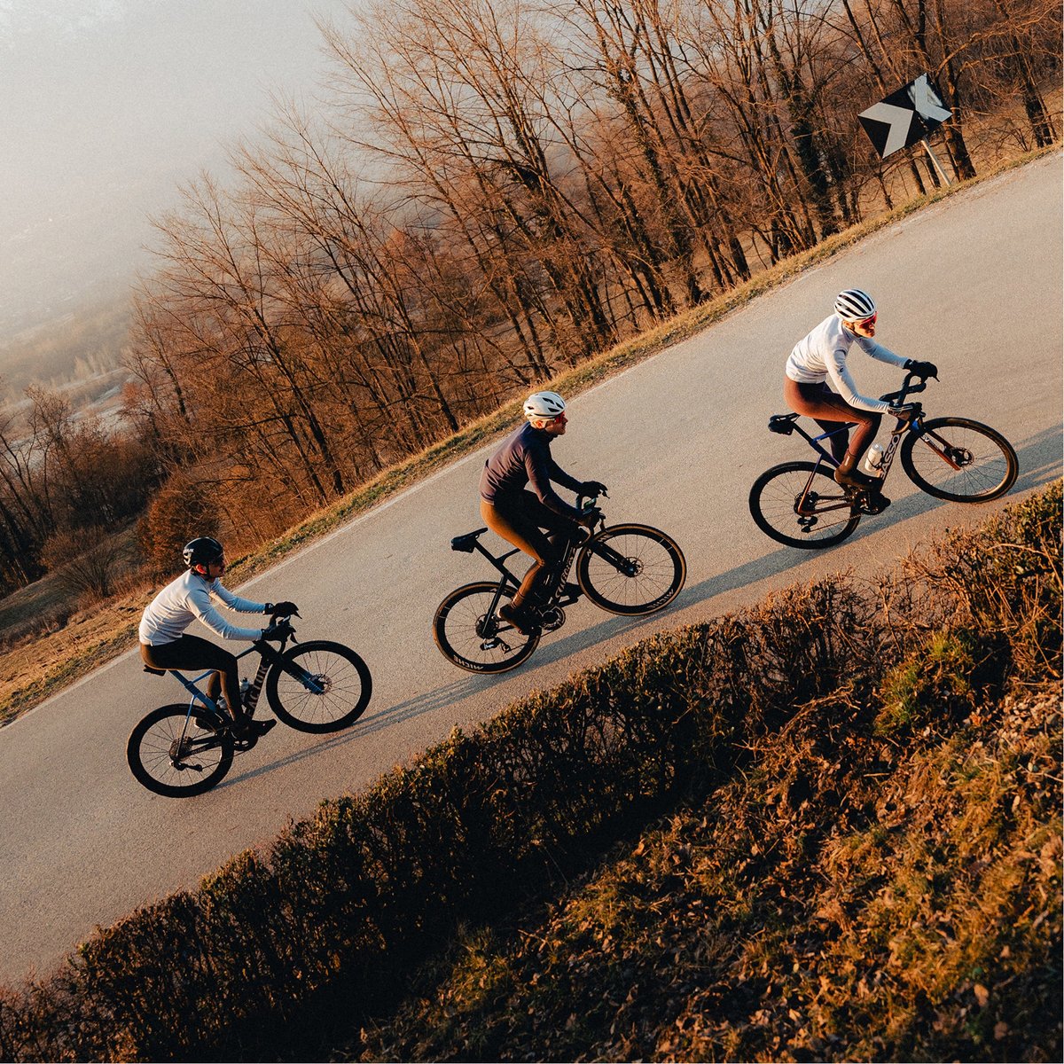 Three cyclists in white kits climb a sun-warmed road through bare autumn trees, riding in a loose paceline on a quiet rural climb.
