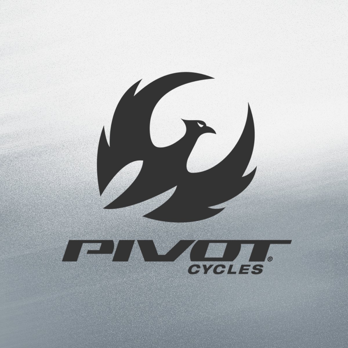 Pivot Cycles
