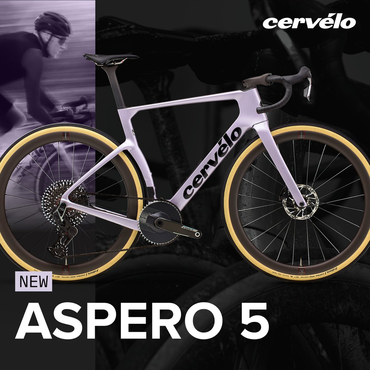 A lilac-colored drop-bar bike with tan side-wall tires shown on a dark background. The Cervelo logo hovers in the top left.