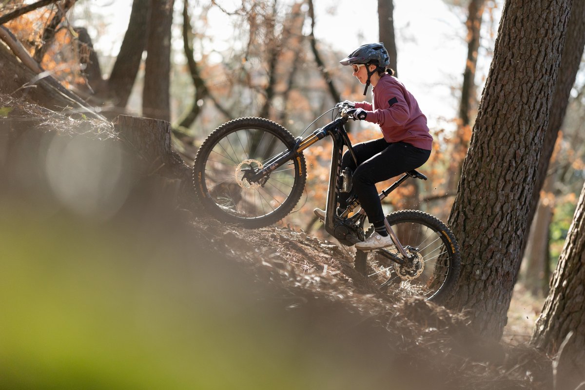 Mountain biker navigating steep dirt and root climb on electric trail bike through sun-dappled fall forest with golden foliage