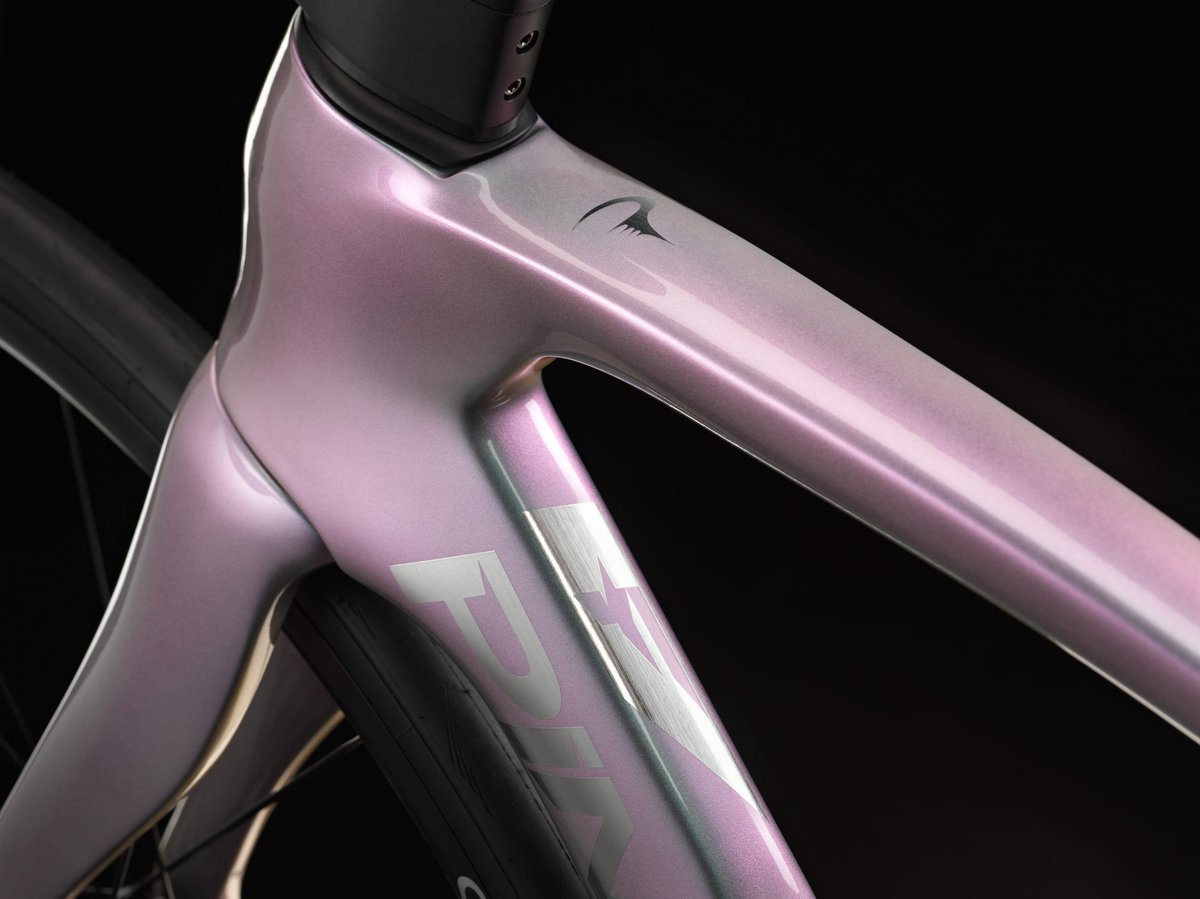 Pinarello road bike carbon frame seat tube junction detail in iridescent pink finish against dark studio background