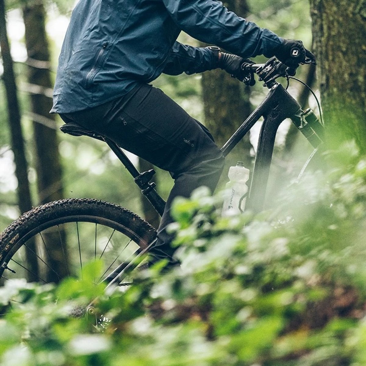 Mountain biker riding past green foilage.