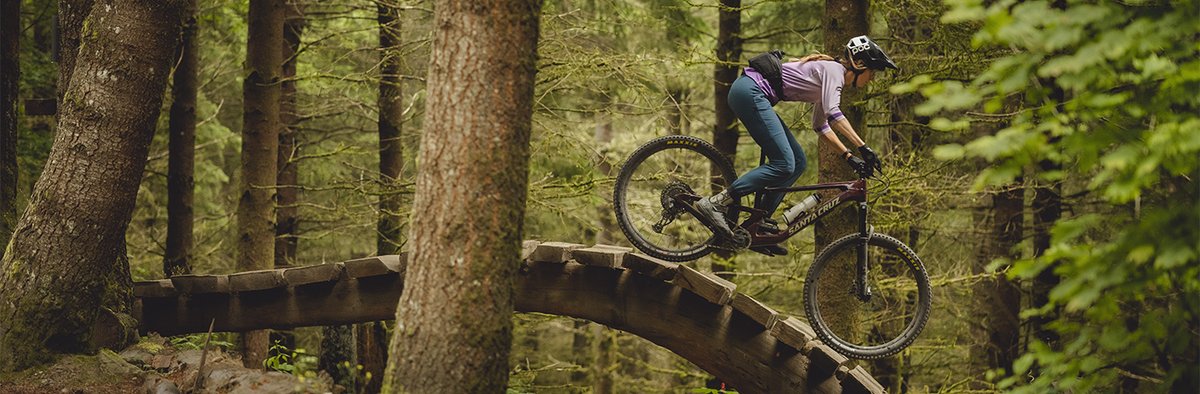 Mountain biker riding over a curved wooden bridge on a forest trail.