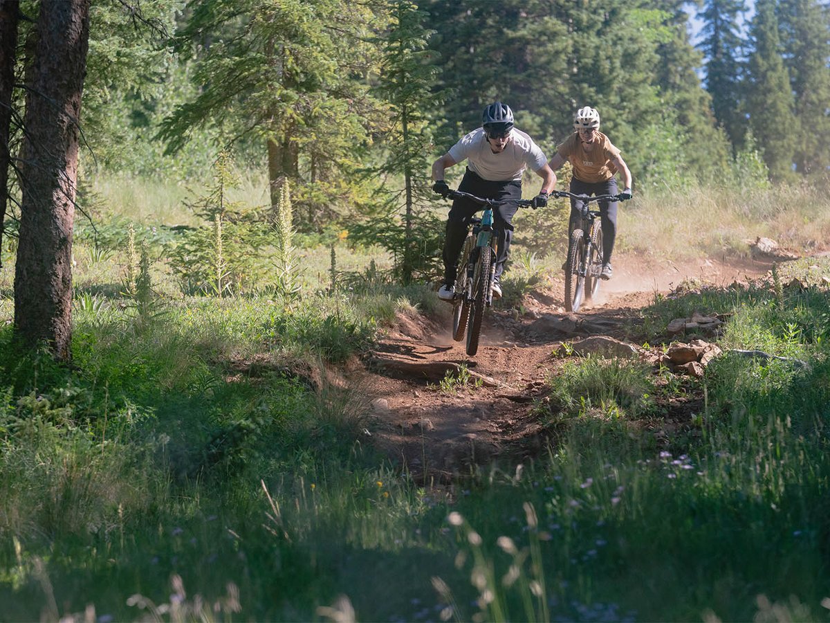 Two mountain bikers riding a rocky singletrack descent through a sunlit conifer forest, dust kicking up behind the rear wheel.