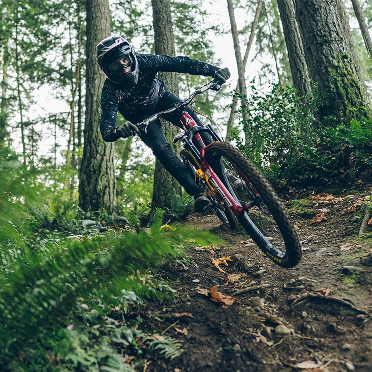 Mountain biker getting air on the trail.