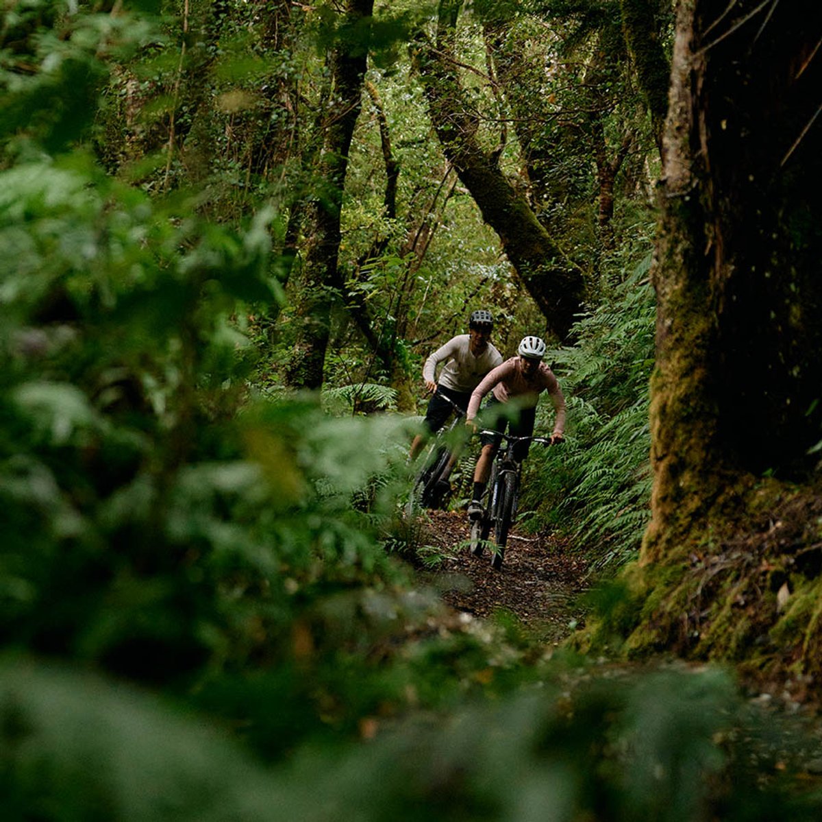 Two mountain bikers ride in close succession through a narrow, fern-lined singletrack trail in a dense, moss-covered forest.