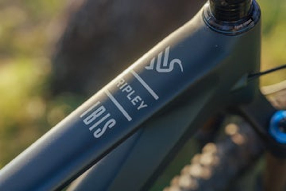 Detail shot of Ibis Ripley top tube.