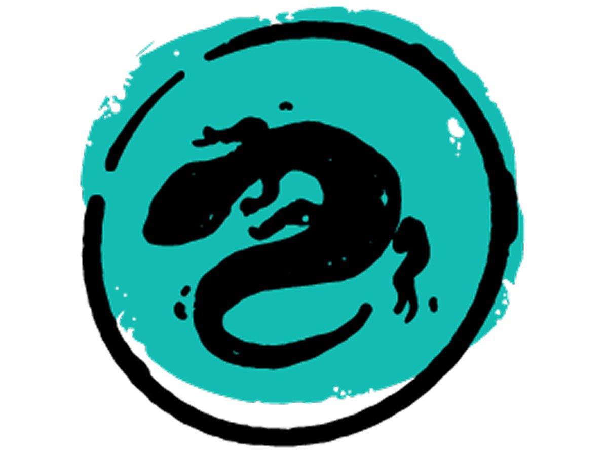 Stylized image of a lizard in a circle