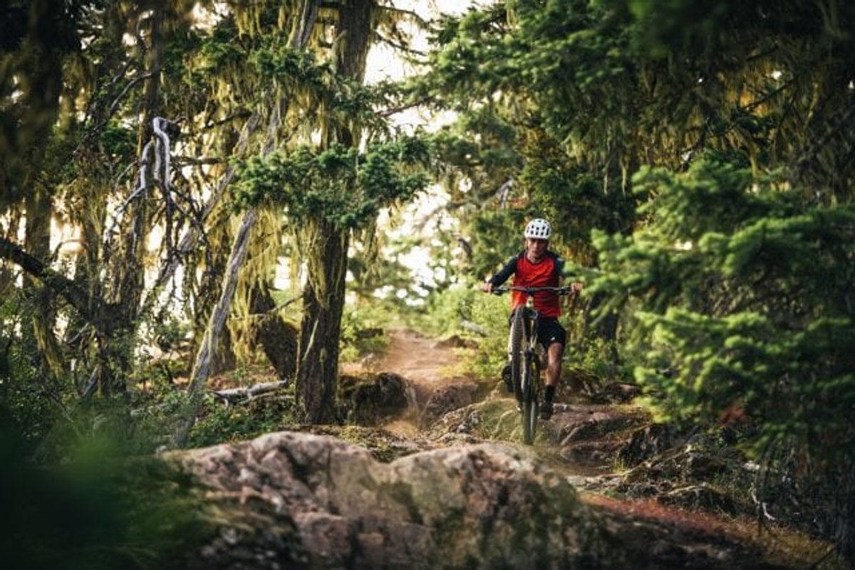 SCB_MY20_TALLBOY_BACKCOUNTRY-009-e1565980518350
