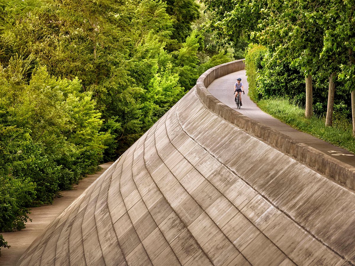 Cyclist riding a curved concrete path through trees