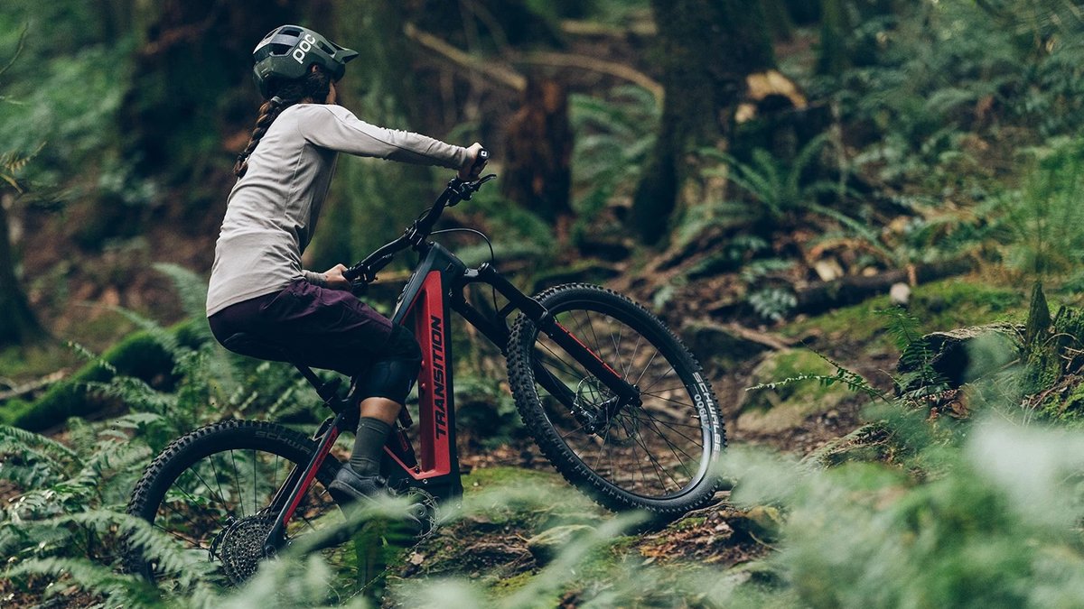 Rider seated  riding mountain bike through forested trail.