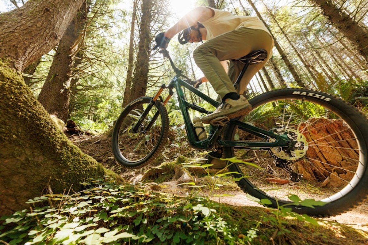 Rider going uphill on forest trail.