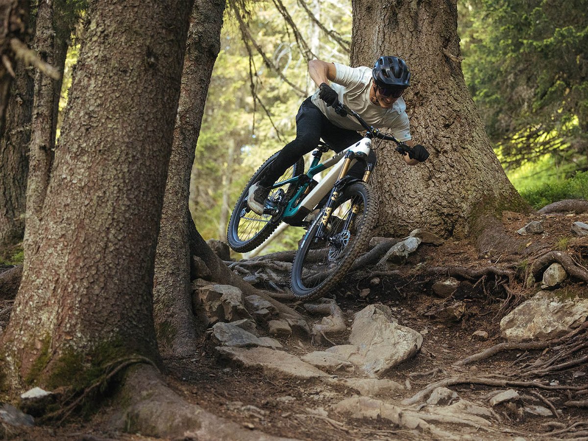 Mountain biker on teal and white Yeti bike leaning through a rock and root section between two large tree trunks in a forest.