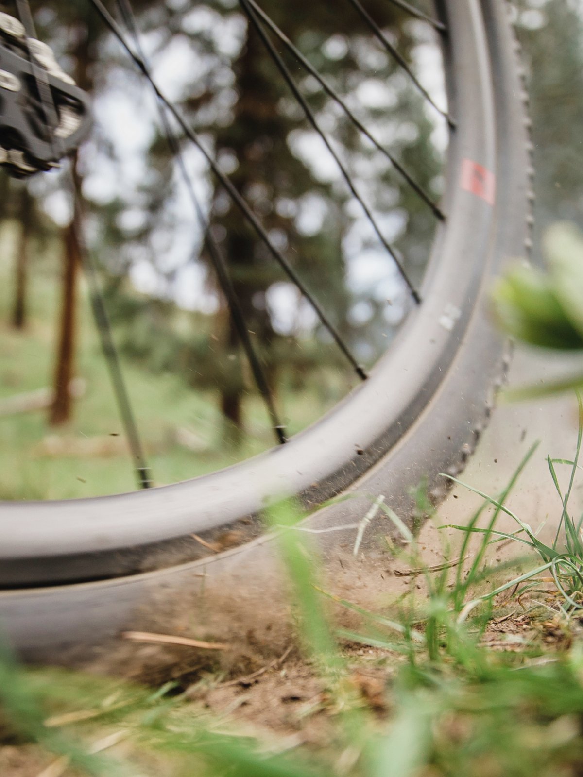 A gravel tire kicks some dust on a trail.