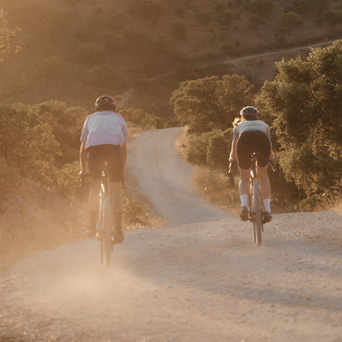 Two gravel bikers on a rolling dirt road during gold hour. 