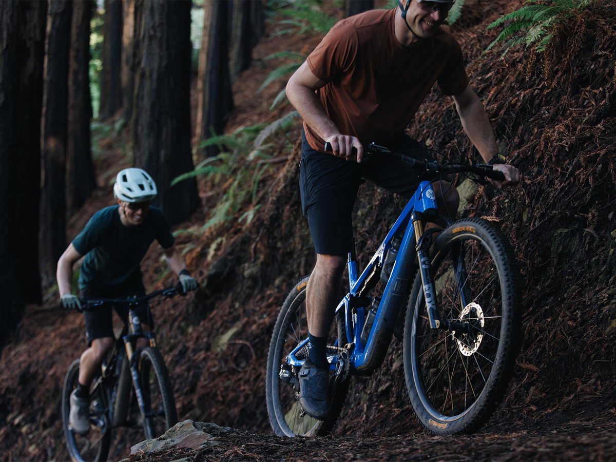 Two mountain bike riders climbing in a dark forest.