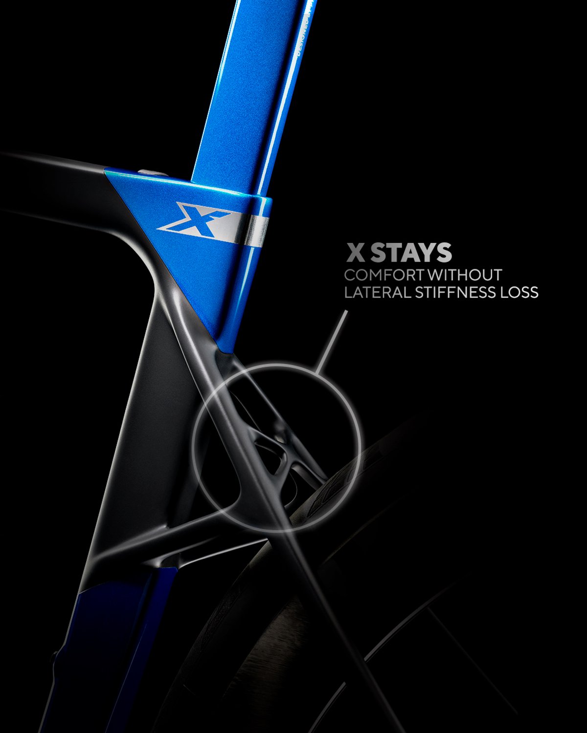 Close-up of a road bike seat stays and rear triangle.