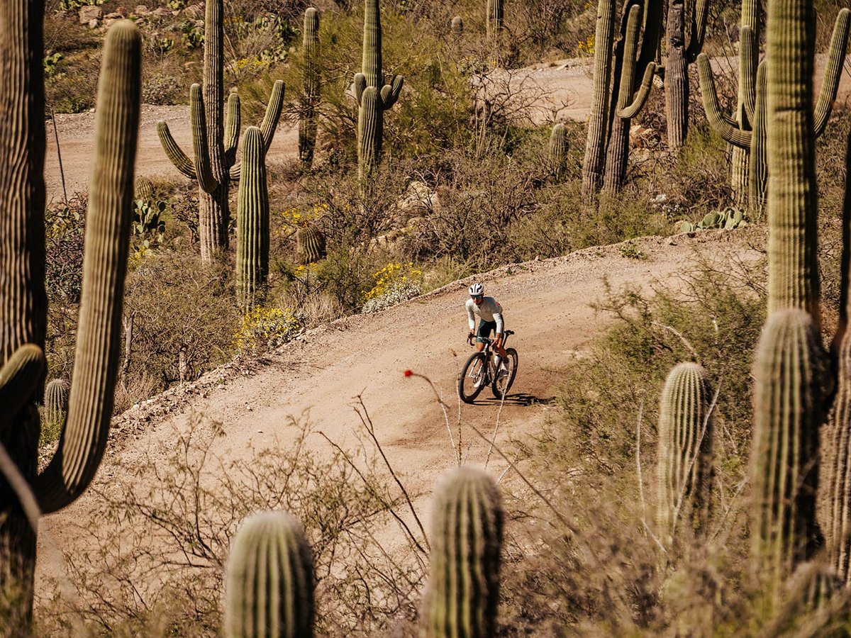 Gravel rider on dirt road in the desert.