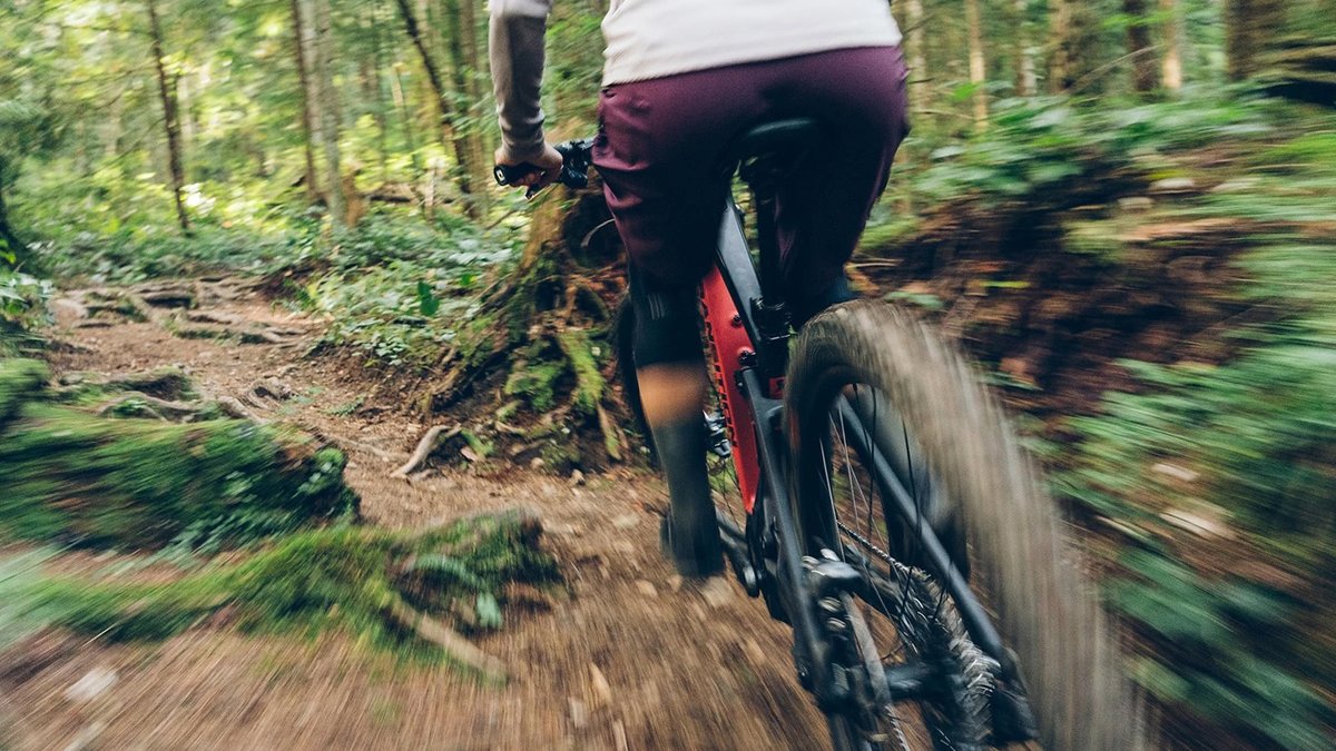 Mountain biker riding bike on dirt single track crossed with roots.