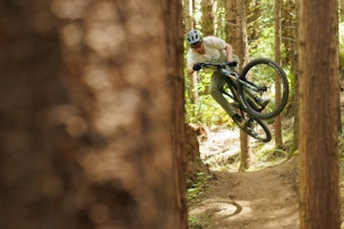 Rider getting air on forest trail.