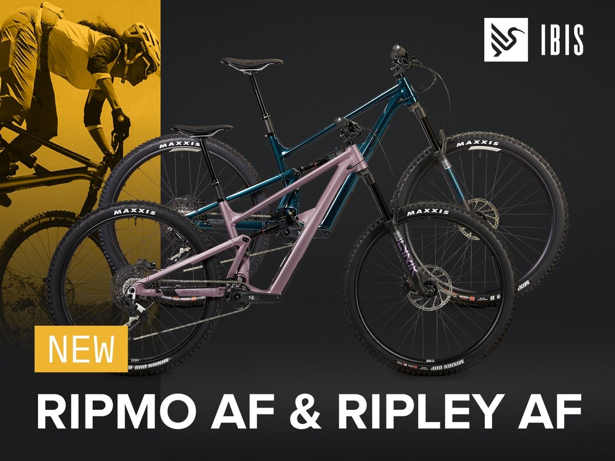 Two Ibis mountain bikes—the Ripmo AF (in Matte Rose) and the Ripley AF (in Gloss Blue)—are displayed side by side against a dark background. Both bikes have Maxxis tires and full-suspension aluminum frames. The Ibis logo is visible in the top right corner, and a banner at the bottom announces "New Rimpo AF + Ripley AF" in bold white text on black with a yellow "NEW" label.